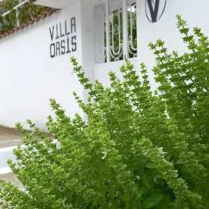 Oasis Berat